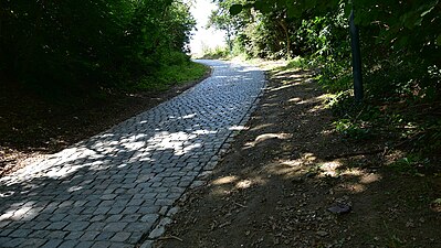 Moskesstraat in september 2021