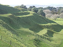 Terracing on a slope of Maungakiekie.