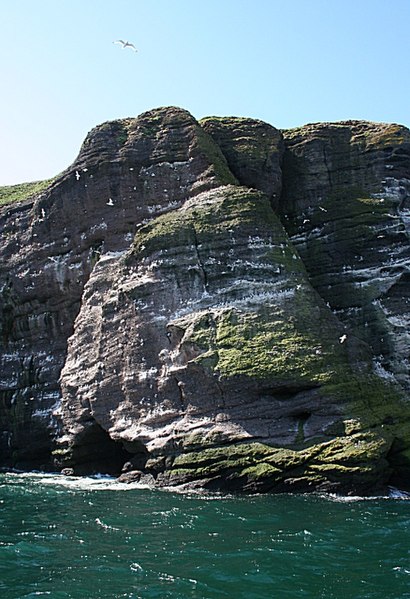 File:The Coves - geograph.org.uk - 434475.jpg