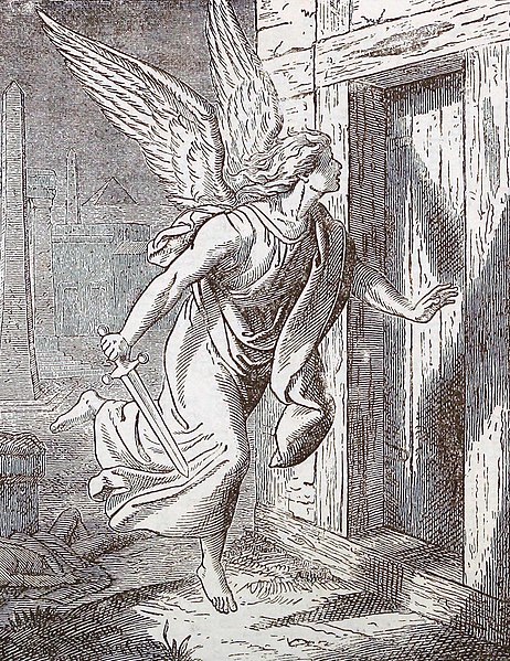 File:The Destroying Angel Passing Through Egypt — LoC (cropped).jpg