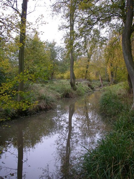 Tập_tin:The_Long_pond_-_geograph.org.uk_-_278705.jpg