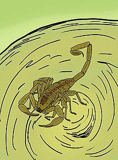 <i>Tityus exstinctus</i> Species of scorpion