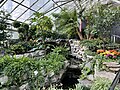 Allan Gardens Conservatory