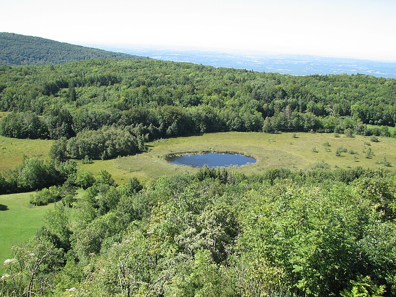 File:Tourbiere Cerin.jpg