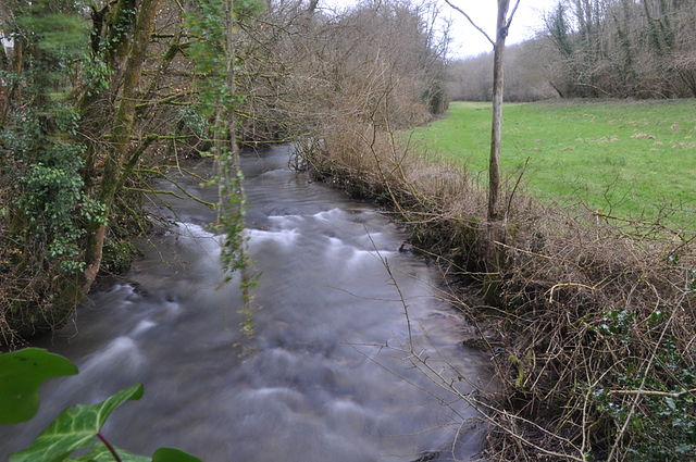 The River Tone at Tracebridge