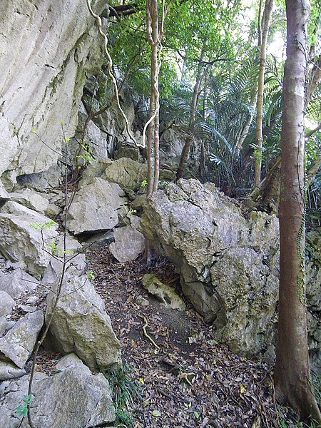 File:Trail of Mount Furushi 201901 01.jpg