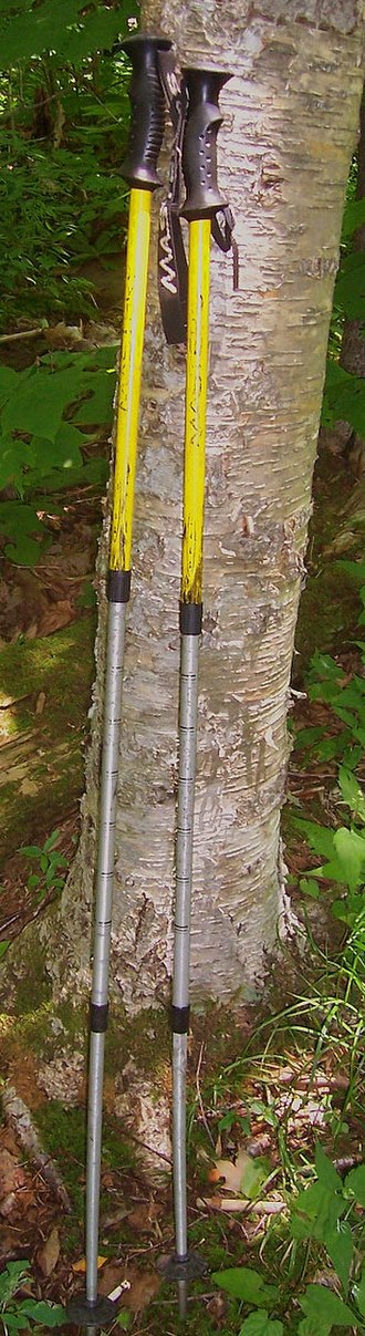 A pair of trekking poles