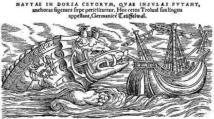 A whale as depicted by Conrad Gesner, 1587, in Historiae animalium