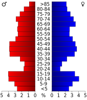 Bevolkingspiramide Hand County