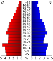 Bevolkingspiramide Navarro County