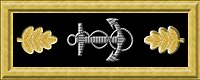 USN lt com rank insignia.jpg