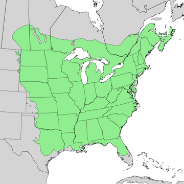 File:Ulmus americana range map 2.png