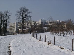 Universität Hohenheim