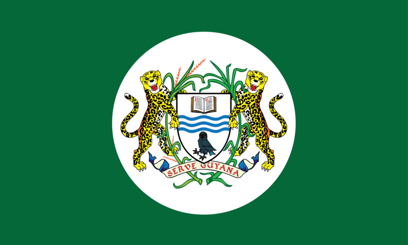 File:University of Guyana Flag.png