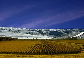 Región de Cuyo