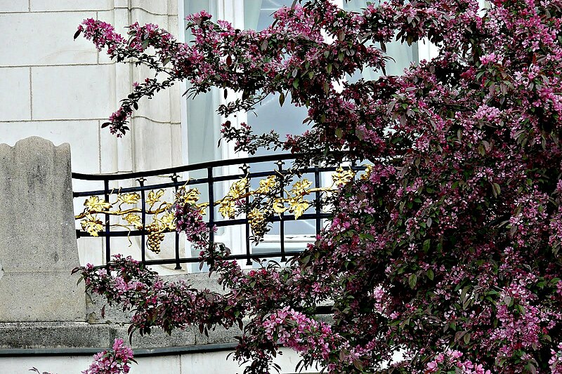 File:Vienna French Embassy Detail Balcony.jpg