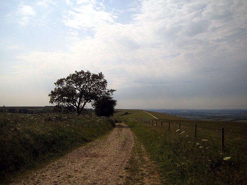 File:View from Walbury Hill.jpg