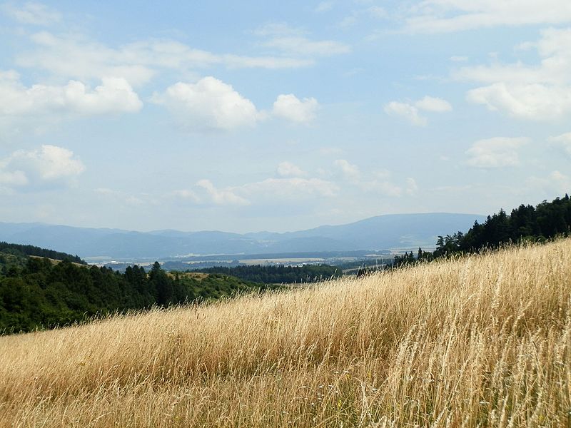 File:Vyšehradské sedlo - panoramio (1).jpg