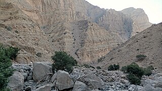 <span class="mw-page-title-main">Wadi Khabb</span> Wadi in the UAE