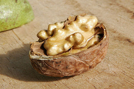 Tập_tin:Walnut03.jpg