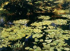 Water-lillies, 1910