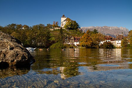 Werdenbergersee, lake in Buchs, St. Gallen. Photographer: Shesmax