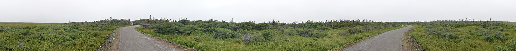 360° Panorama of Western Brook Pond Trail