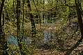 * Nomination Wetland in the Weiherwald, Weiherfeld, Karlsruhe, Germany --Llez 05:21, 21 June 2020 (UTC) * Promotion  Support Good quality -- Johann Jaritz 07:12, 21 June 2020 (UTC)