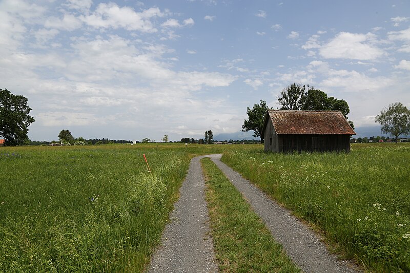 File:Wikiolo in Liechtenstein (734).jpg