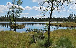 Wildsee Buruk Wildbad.jpg