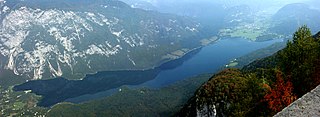 <span class="mw-page-title-main">Lake Bohinj</span> Glacial lake in Municipality of Bohinj, Triglav National Park