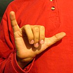 The "Y" handshape produced with the the palm facing the camera