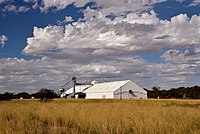 Yoting, Western Australia