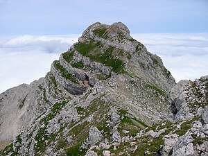 Zwillingkogel Gipfelaufbau Totes Gebirge 20070702.jpg