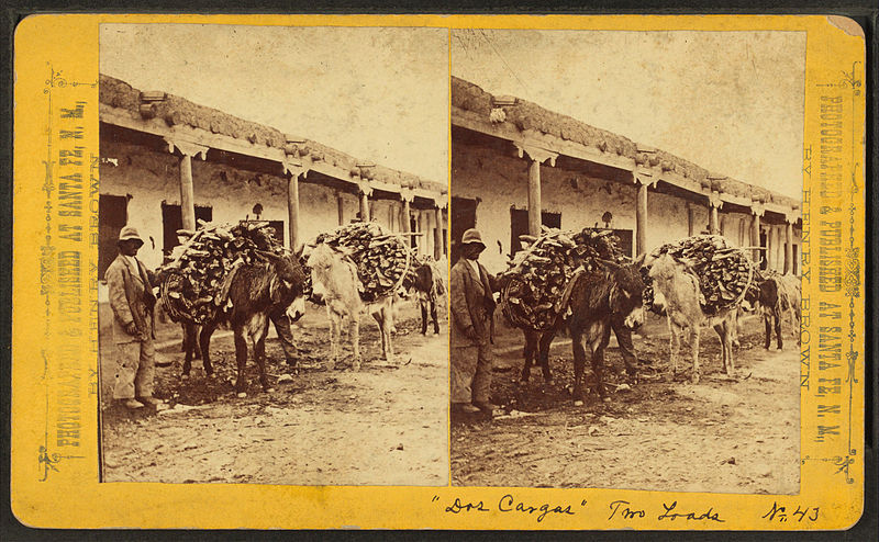 File:"Dos Cargas," two loads, by Brown, William Henry, 1928-.jpg