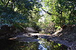 Miniatura para Parque nacional Lane Cove