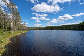 Älgtjärnen - vy mot öster från den norra stranden