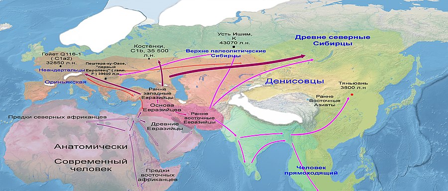 Курсовая работа: Сунгирь как самая северная стоянка палеолита. Связь с другими стоянками Востока и Запада