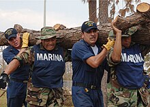 Mexican marines and U.S. Navy sailors cleaning up debris outside of a hurricane-stricken Mississippian elementary school in September 2005. Defense.gov News Photo 050909-N-4374S-008.jpg