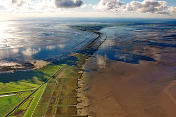 Plik:13-09-29-nordfriesisches-wattenmeer-RalfR-37.jpg