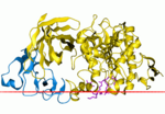 Hình thu nhỏ cho Enzyme tụy (dược phẩm)