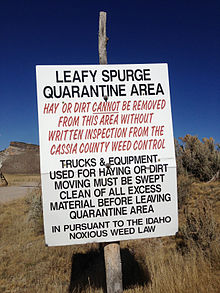Leafy spurge quarantine sign at the Idaho state line 2014-10-20 13 21 41 Leafy Spurge Quarantine Area sign along Goose Creek Road where it crosses from Box Elder County, Utah into Cassia County, Idaho.JPG