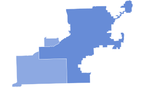 2014 Congressional election in Illinois' 3rd district by county.svg