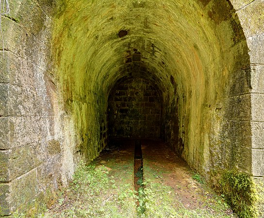 Tunnel de la Forêt.