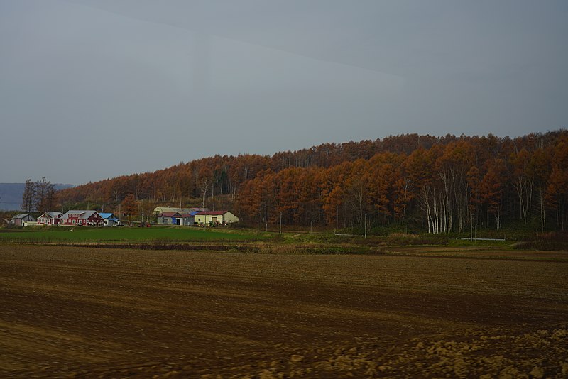 File:20181105 OtaruHwy 4770 (48429296987).jpg