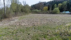 Blick nach Süden über die Fundstelle. Die Bewuchsmerkmale lassen die Hausgrundrisse erkennen.