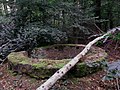 historischer Jagdschirm am Landgrafeneck nach Sturmbruch