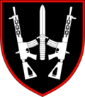 Thumbnail for 67th Mechanized Brigade (Ukraine)