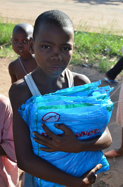 File:A girl collecting mosquito nets for her family, DR Congo, October 2012 (8406177038).jpg