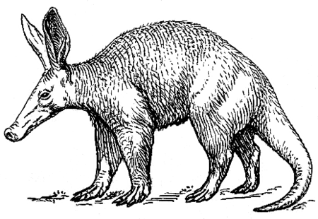 Fail:Aardvark2_(PSF).png